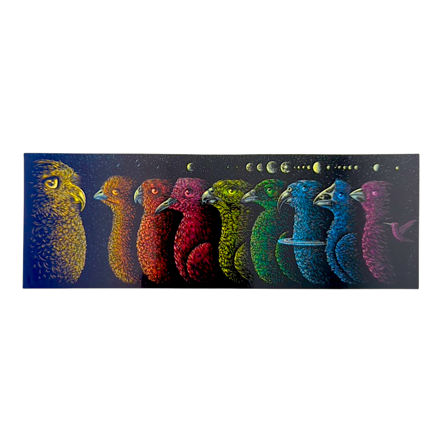 Todd Slater Universe Birds Sticker - Arte House