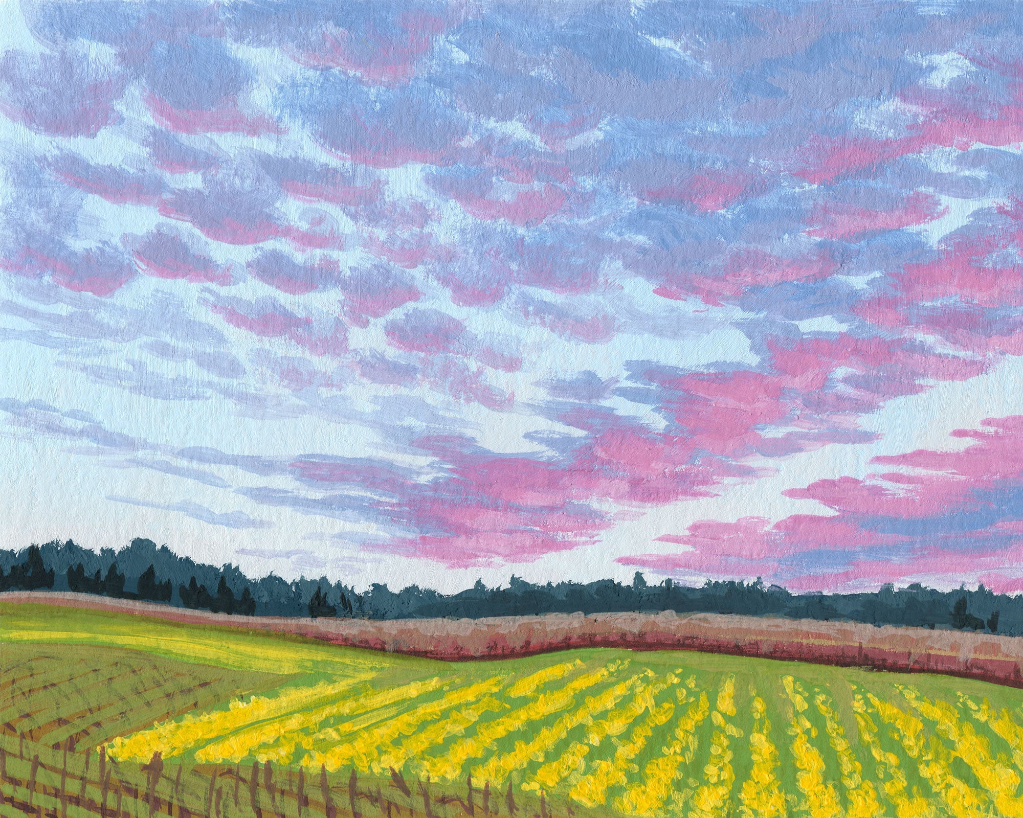 Sunset in Wine Country a Horizontal Art Print